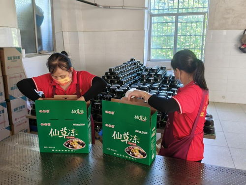 年順食品廠 守護贛南餐桌安全，共筑健康生活新未來